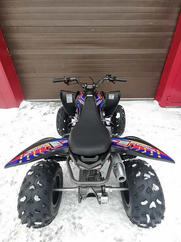 Квадроцикл PROMAX RAPTOR 300 NEW RedBull в Пензе