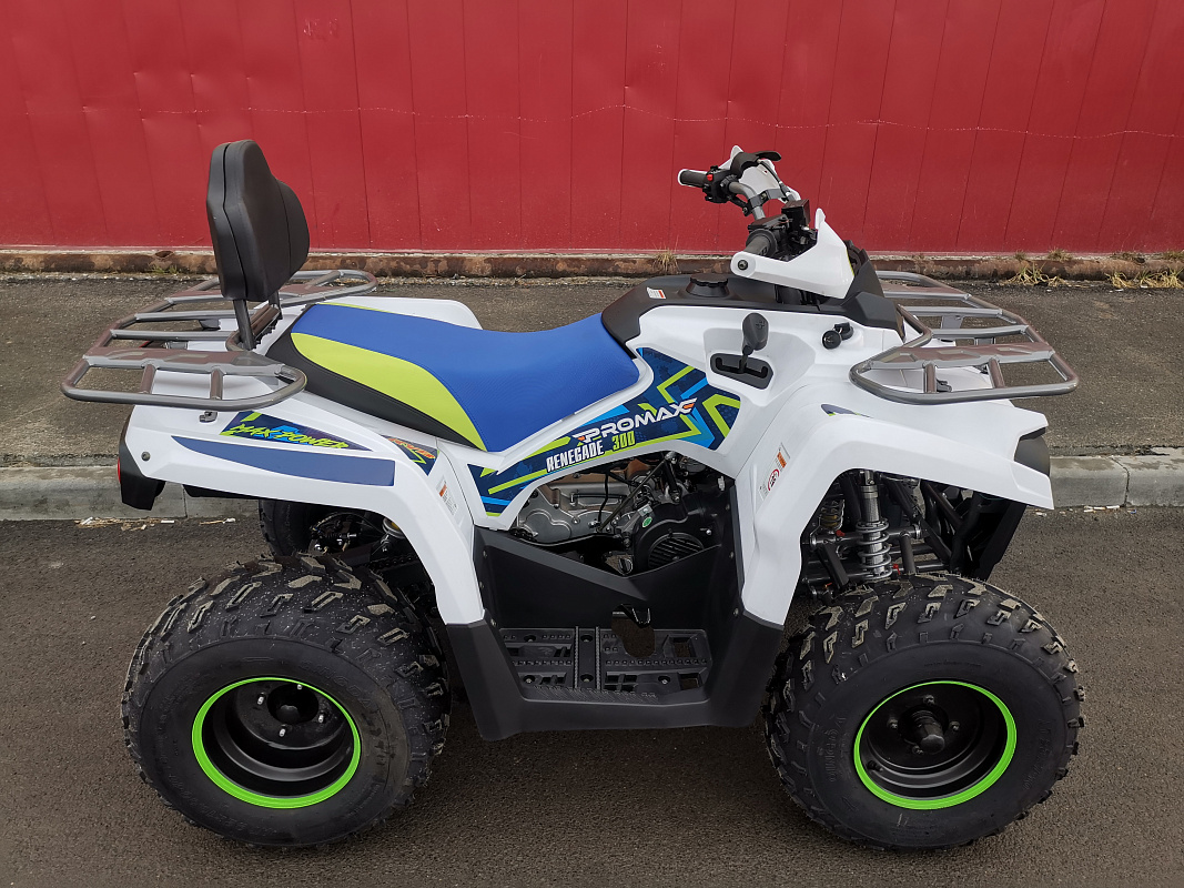 Квадроцикл PROMAX RENEGADE 280 LUX (2025) в Пензе