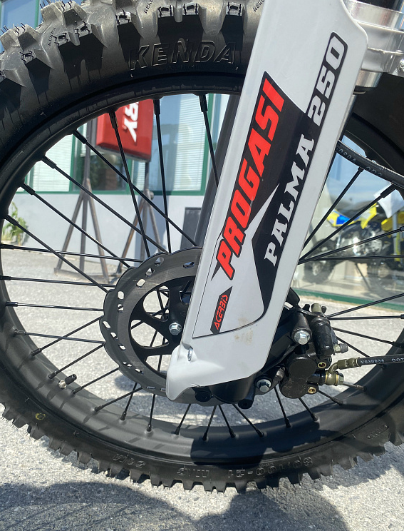 Мотоцикл Progasi PALMA 250SE в Пензе