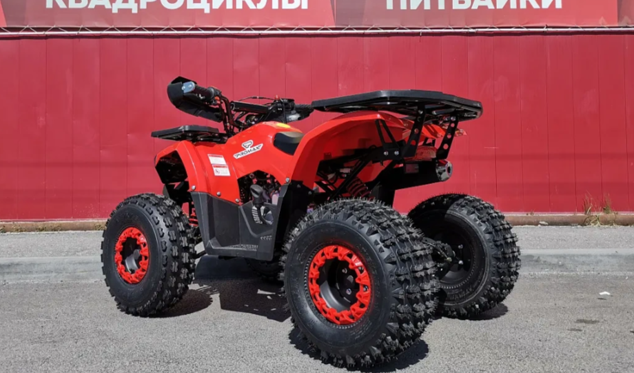 Квадроцикл PROMAX WILD 175 BASIC в Пензе