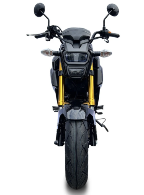 Мотоцикл PROMAX STRYKER 200(49) в Пензе