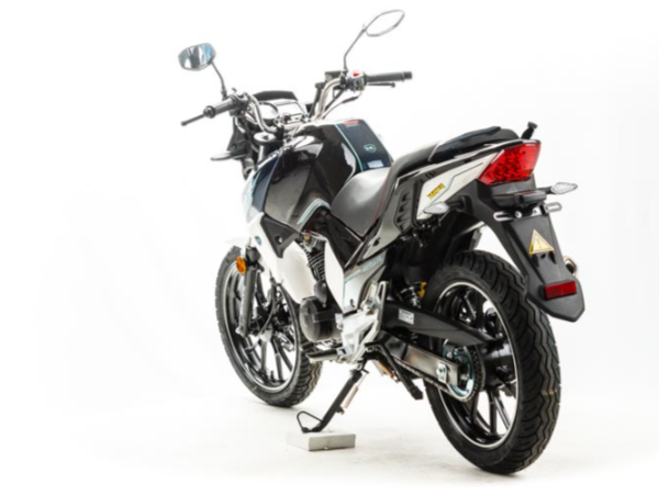 Мотоцикл MOTOLAND (МОТОЛЕНД) FIGHTER 250 в Пензе