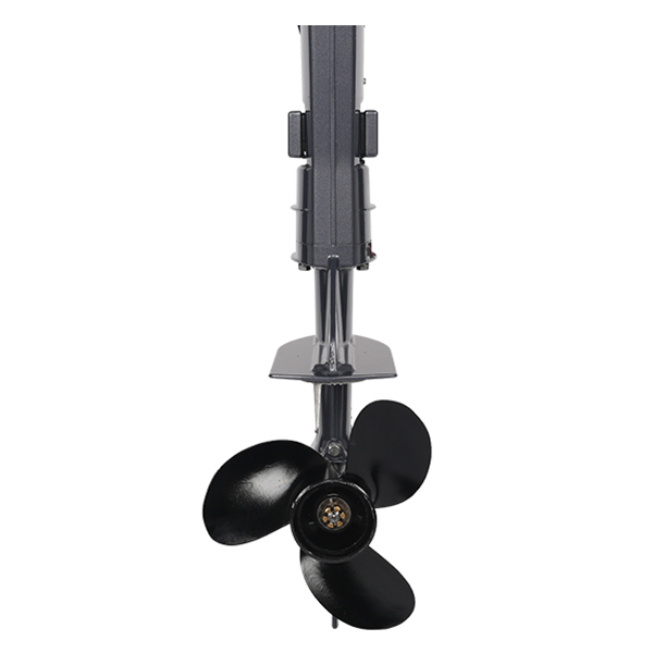 ЛОДОЧНЫЙ МОТОР ALLFA CG T5 в Пензе