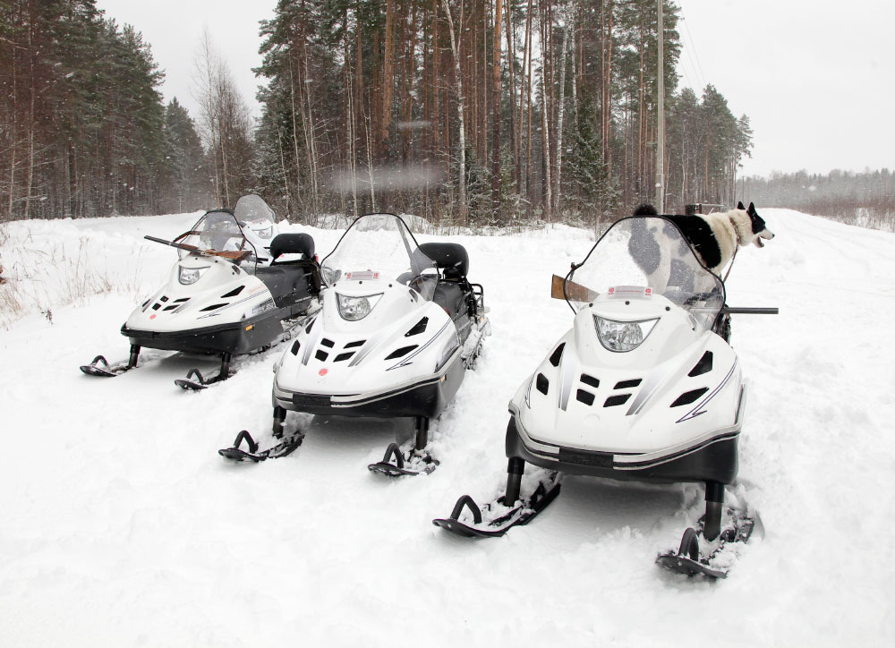 СНЕГОХОД РМ ТАЙГА ВАРЯГ 550 V в Пензе