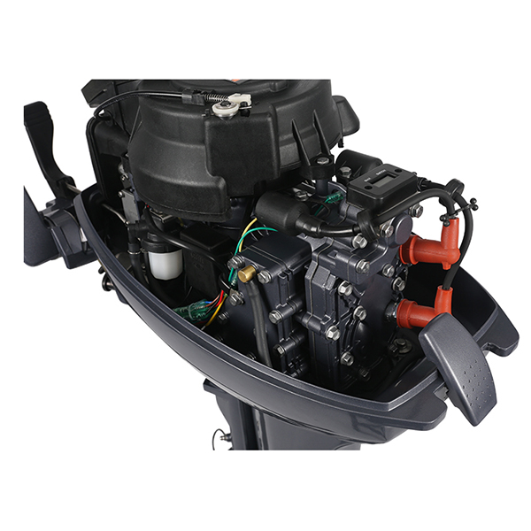 ЛОДОЧНЫЙ МОТОР ALLFA CG Т9,9 в Пензе