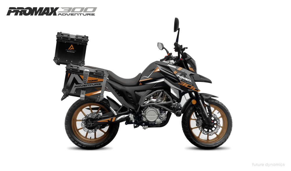 Мотоцикл PROMAX ADVENTURE 300 PRO EFI (NB300) в Пензе