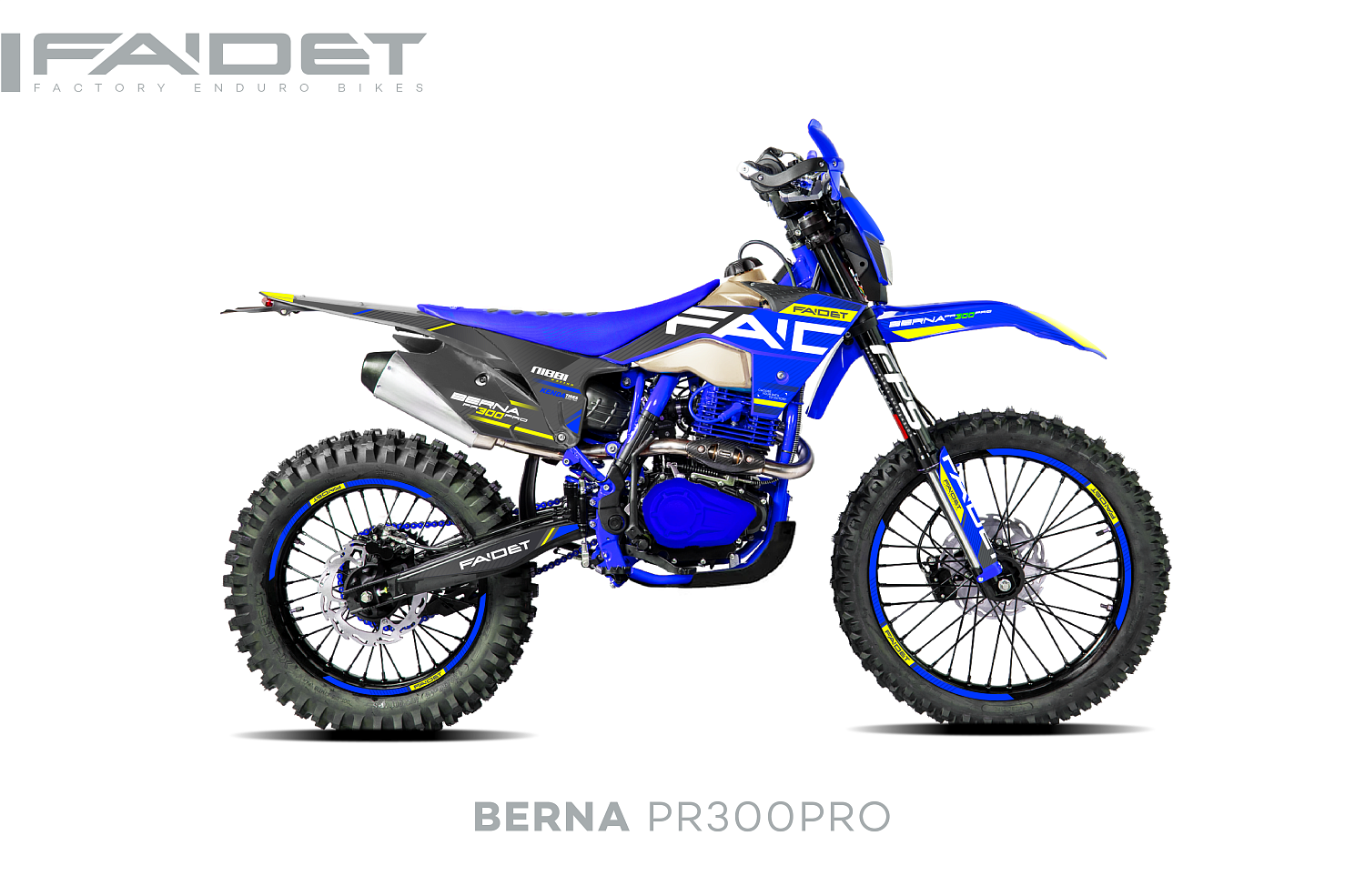 Кроссовый мотоцикл FAIDET BERNA PR300-PRO FPS в Пензе