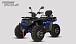Квадроцикл PROMAX TAURUS 300 MAX-PRO LONG в Пензе