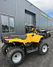 КВАДРОЦИКЛ IRBIS ATV 250  в Пензе
