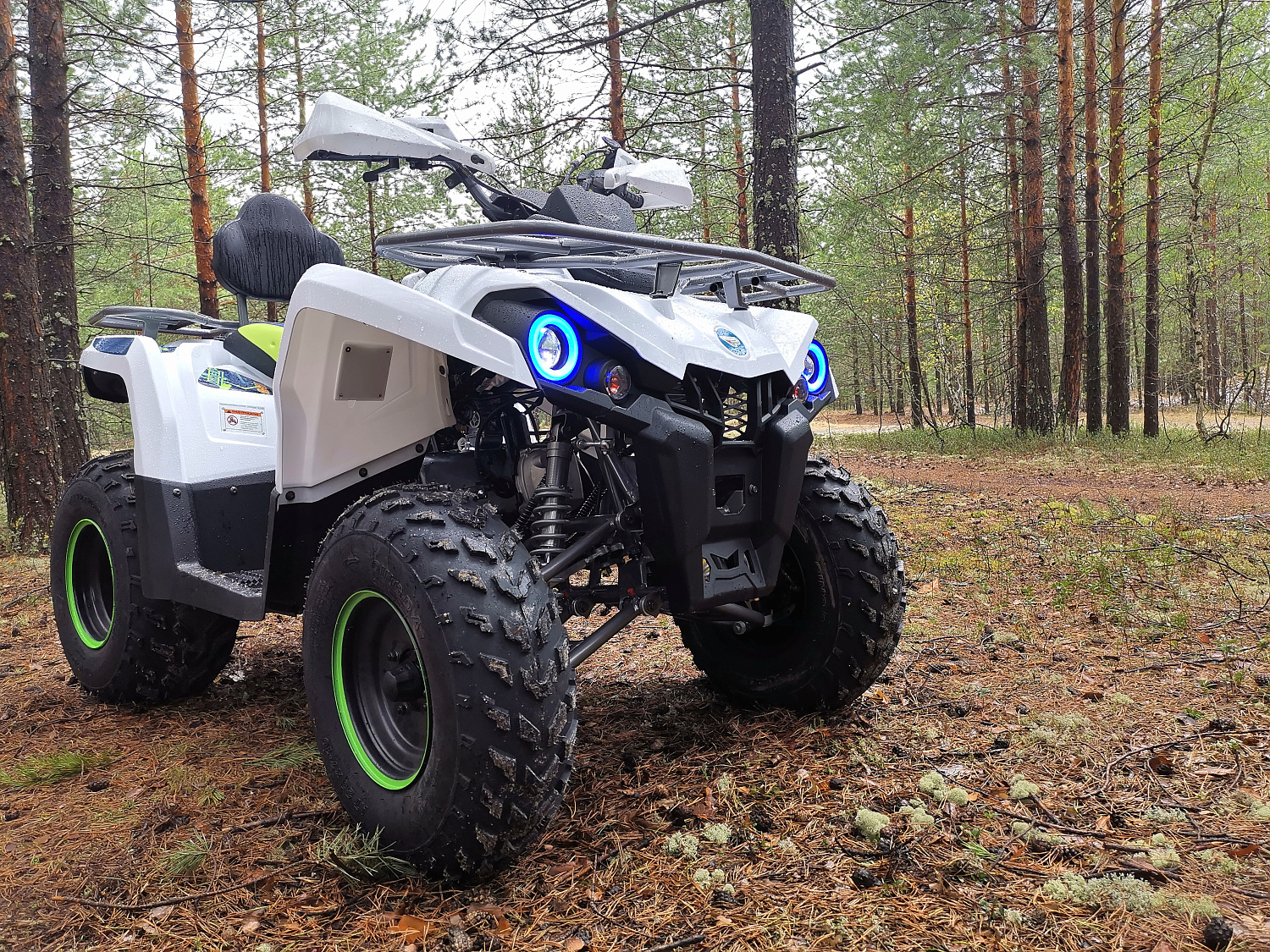Квадроцикл PROMAX RENEGADE 280 (2025) в Пензе