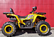 Квадроцикл PROMAX STORM 280 LUX в Пензе