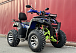  Квадроцикл PROMAX ATV 250 MAX (2025) в Пензе