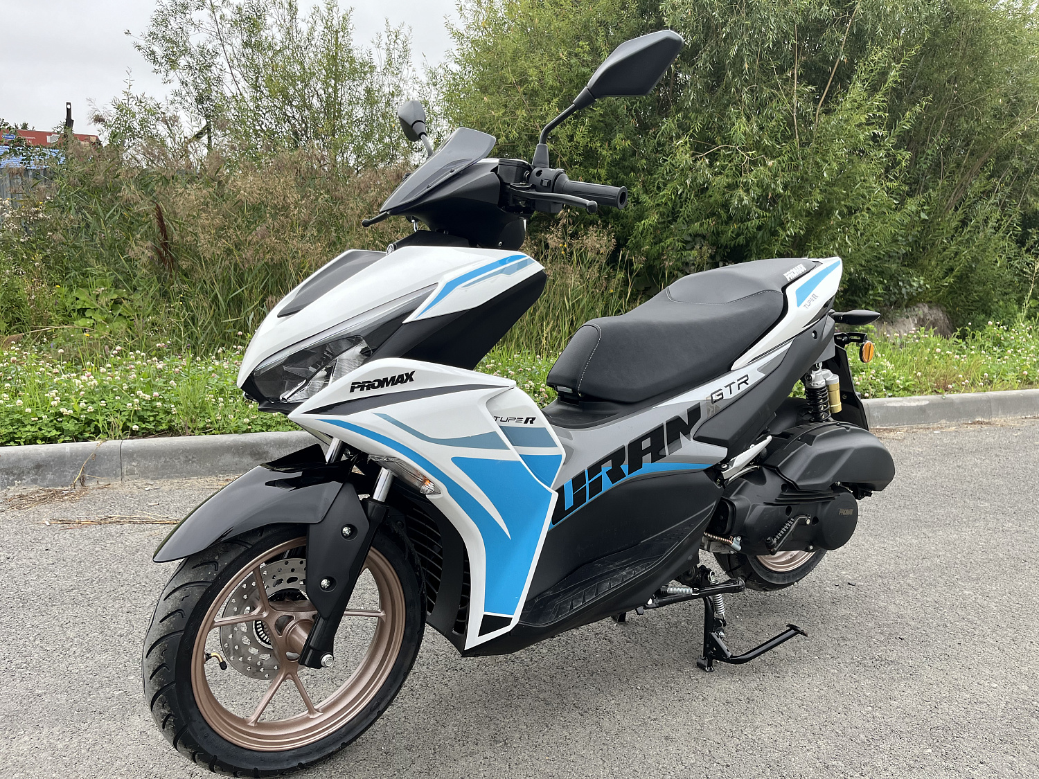 Скутер PROMAX TURAN 250 (49) в Пензе