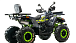Квадроцикл MOTOLAND (МОТОЛЕНД) VOX200 WILD TRACK X WINCH (баланс. вал) в Пензе