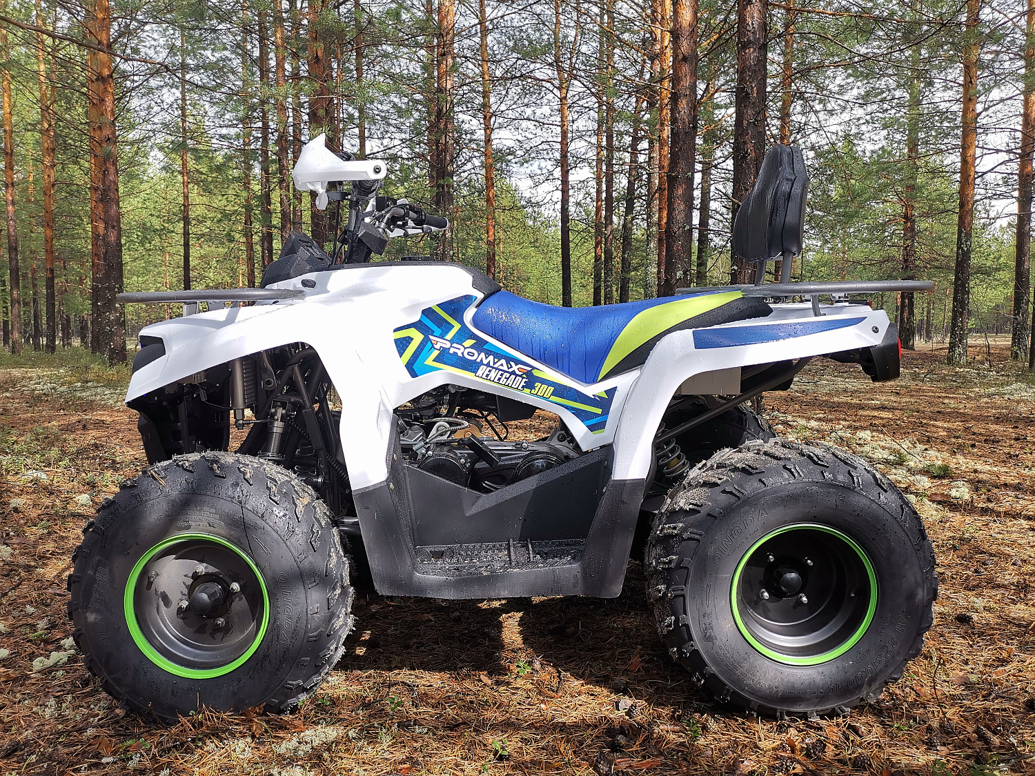 Квадроцикл PROMAX RENEGADE 280 (2025) в Пензе
