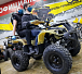 Квадроцикл PROMAX ATV 250 (2025) в Пензе