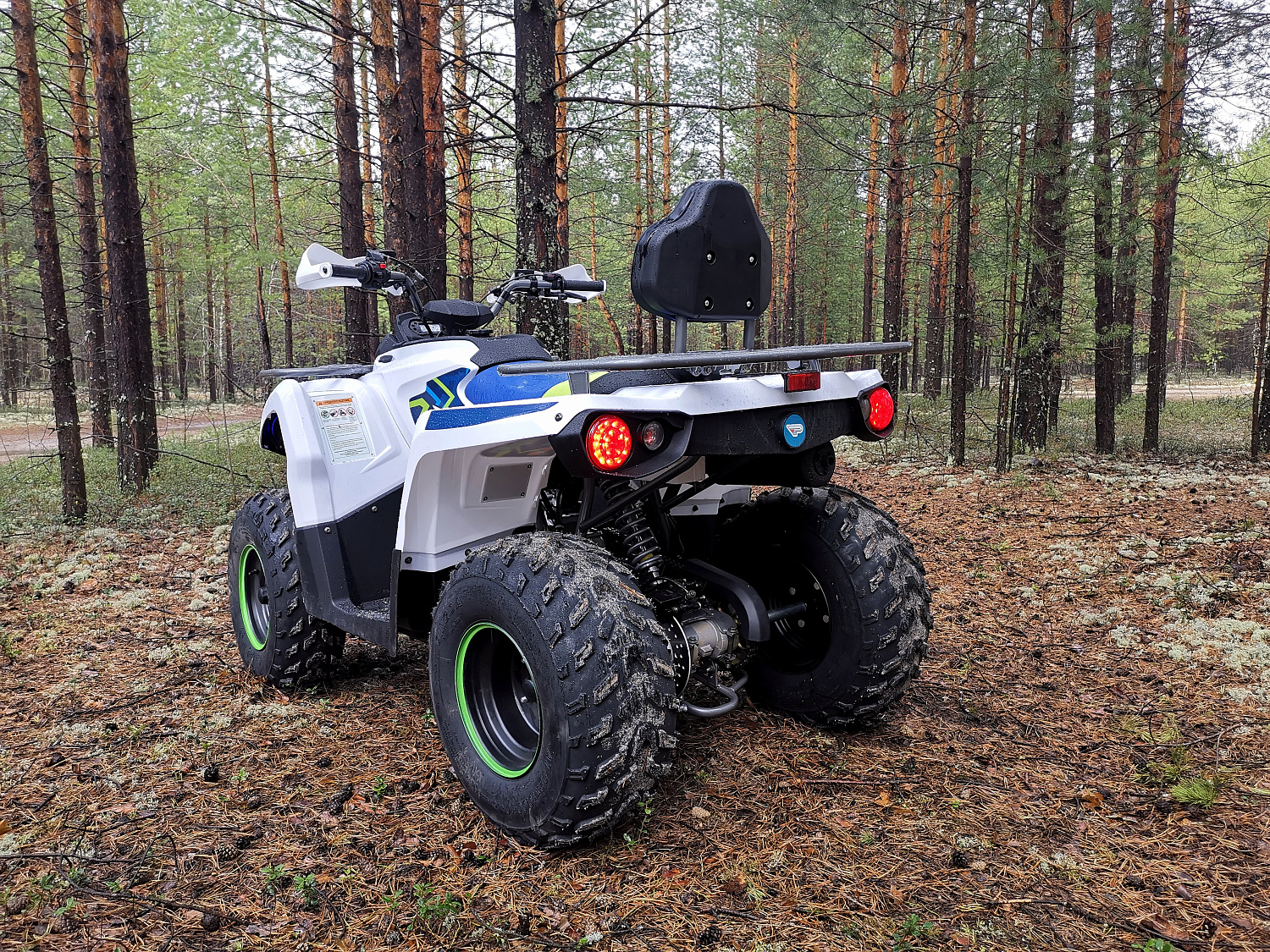Квадроцикл PROMAX RENEGADE 280 (2025) в Пензе