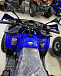 Квадроцикл PROMAX WILD 2.0 190 PRO (2025) в Пензе