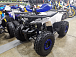 Квадроцикл PROMAX WILD 175 LUX в Пензе