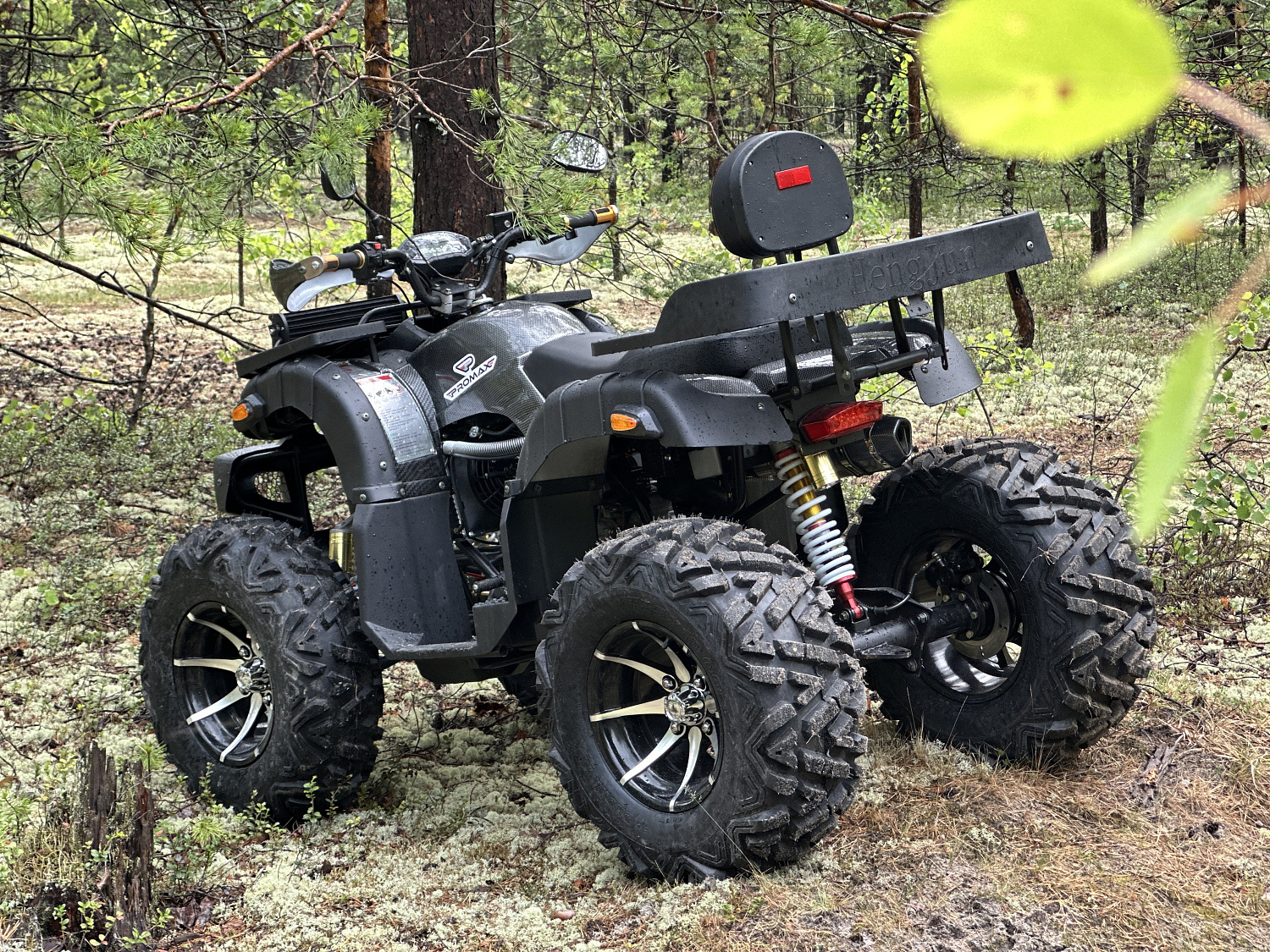 Квадроцикл PROMAX 320 DOMINATOR (2025) в Пензе