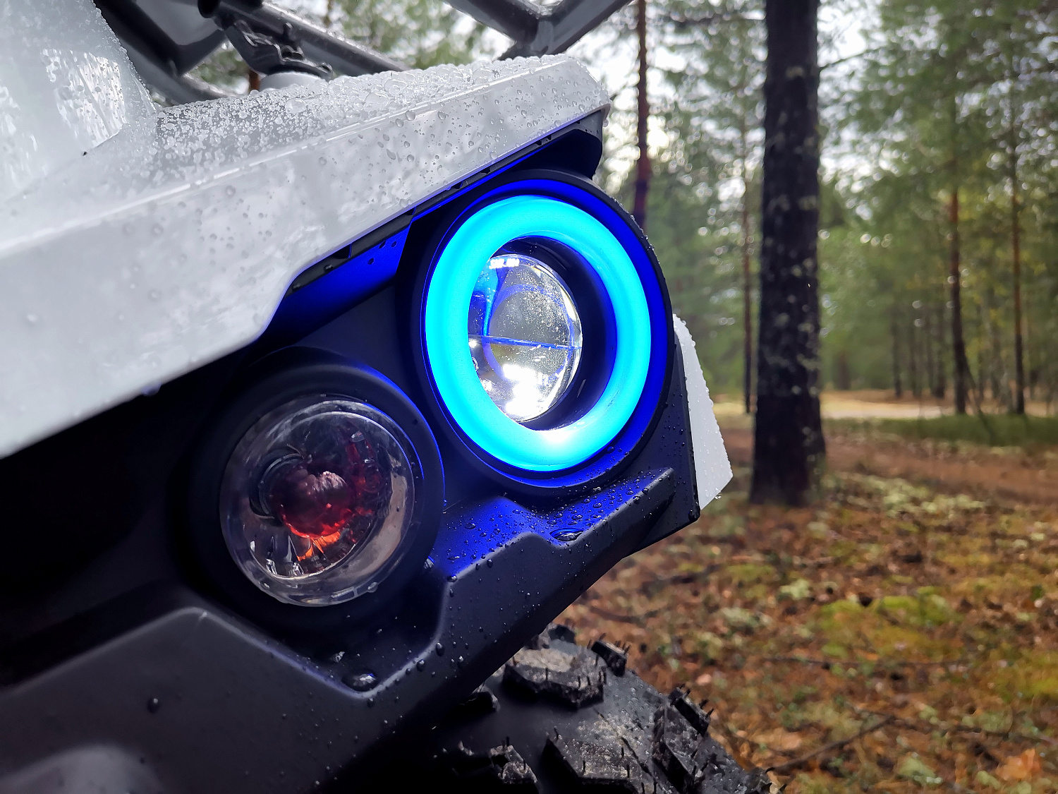 Квадроцикл PROMAX RENEGADE 280 (2025) в Пензе