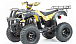 Квадроцикл MOTOLAND (МОТОЛЕНД) 250 ADVENTURE в Пензе