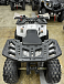 Квадроцикл PROMAX WILD 2.0 190 в Пензе