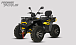 Квадроцикл PROMAX TAURUS 300 MAX-PRO LONG в Пензе